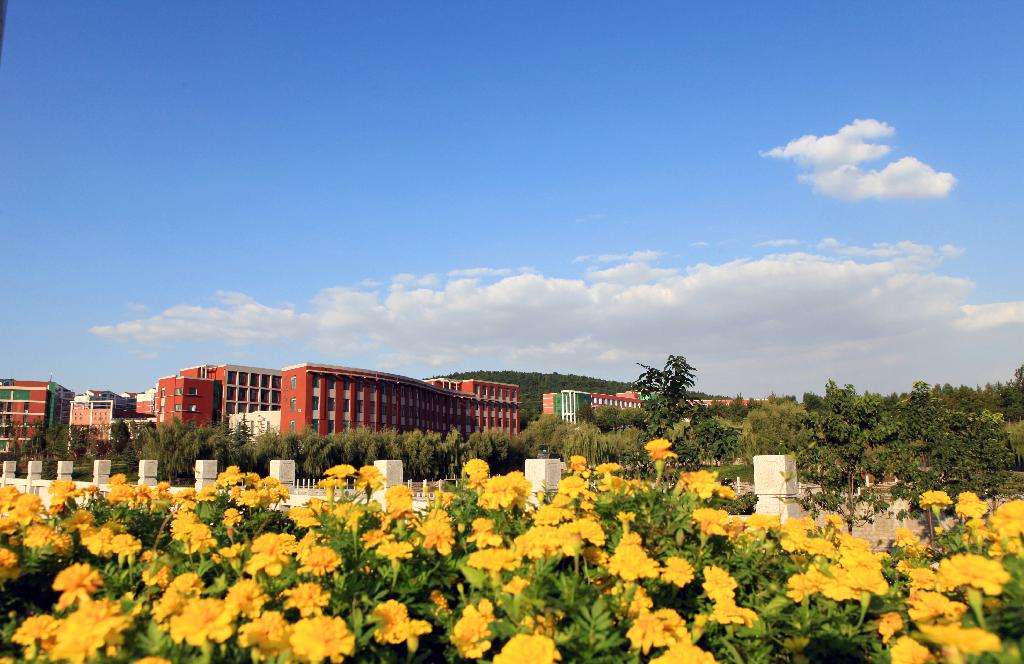 贵州省镇远县中等职业技术学校学校简介 贵州省镇远县中等职业技术学校学校简介