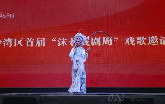 四川艺术职业学院 四川艺术职业学院