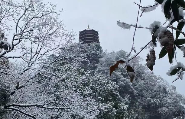 成都佳兴外国语学校 成都佳兴外国语学校