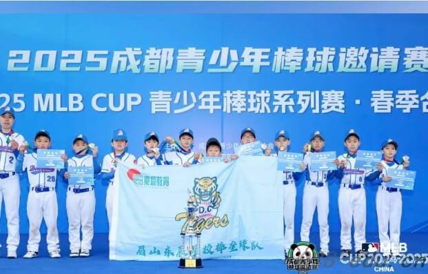 眉山东辰国际学校