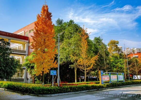 新津实验高中 新津实验高中